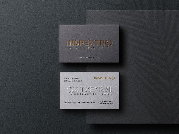 Inspextro 纽约专业验屋 牌照 保险齐全 价格合理 