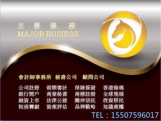 专业会计报税  PEConsulting 纽约会计师/税务