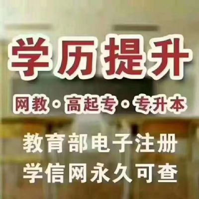 网球陪练员 纽约其他培训