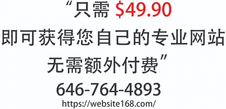 网站设计49.90.就能拥有世界一流水平的高级品牌网站 洛杉