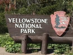 Yellowstone National Park 黃石公園